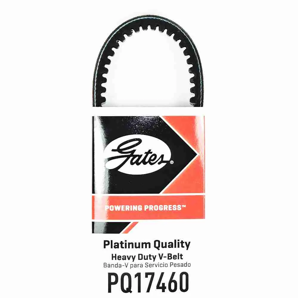 BANDA GREEN STRIPE PLATINUM QUALITY